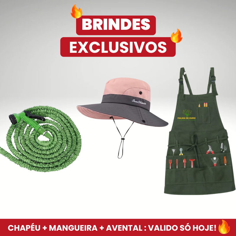 [BLACK-FRIDAY] KIT JARDIM PREMIUM + BRINDES